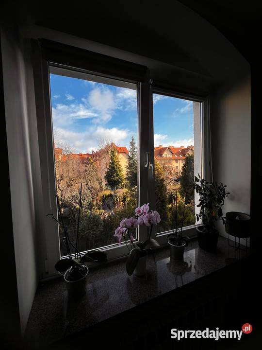 Mieszkanie w porządanej dzielnicy Wałbrzych