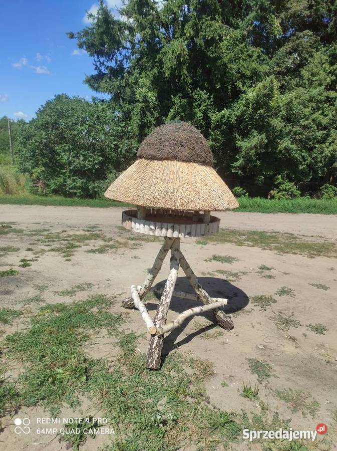 Dachy z trzciny Pokrycia dachowe Drawsko Pomorskie