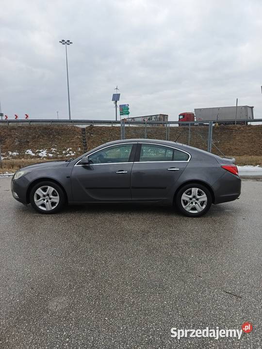 Opel Insignia Hatchback świętokrzyskie Jędrzejów