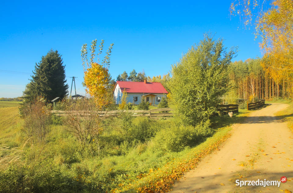 siedlisko dom na wsi lesie cisza 3000 m2