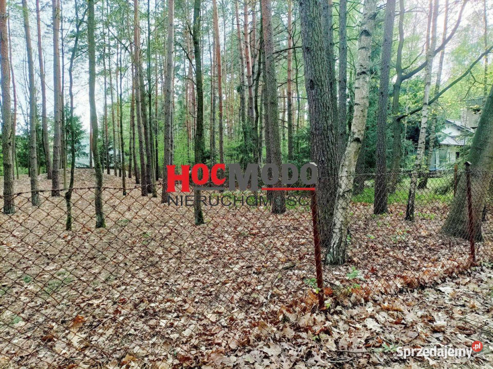 Działka budowlana wśród lasów w Karolinie Karolino sprzedam