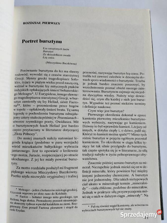 Złoto Północy Opowieści o bursztynie Anna Książki naukowe i popularnonaukowe Gdynia sprzedam