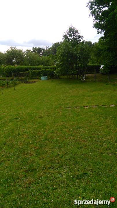 działka ogrodnicza Olsztyn