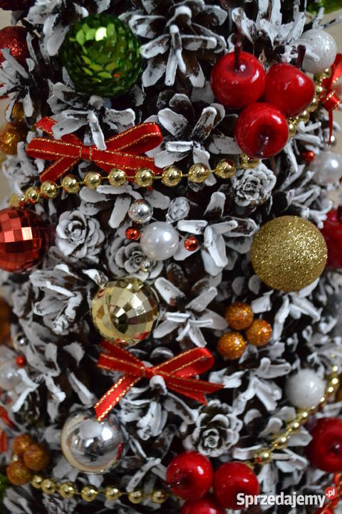 Magiczna choinka Białystok