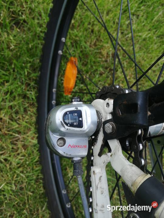 Gazelle TX Nowe Przybojewo