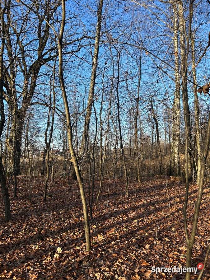 Syndyk sprzeda nieruchomość gruntową 1613m2 Grunty i działki