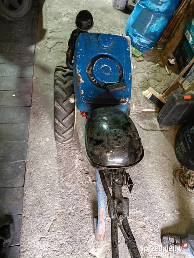 Sprzedam dzika Śrem sprzedam