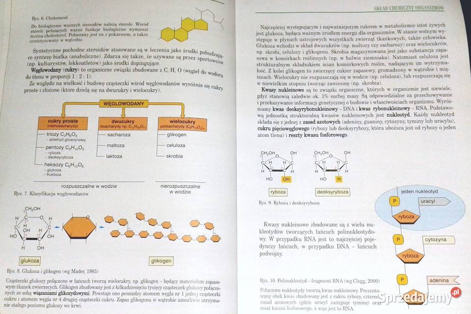 Biologia 1 Podstawy życia Tajemnice ludzkiego Chełm sprzedam