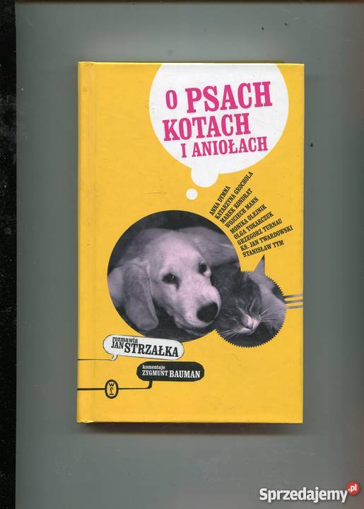O psach kotach i aniołach Strzałka Bauman Rok wydania 2006 Szczecin