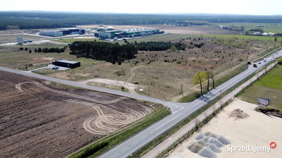 3 ha terenów usługowych DK22 0 asfalt Karkoszów