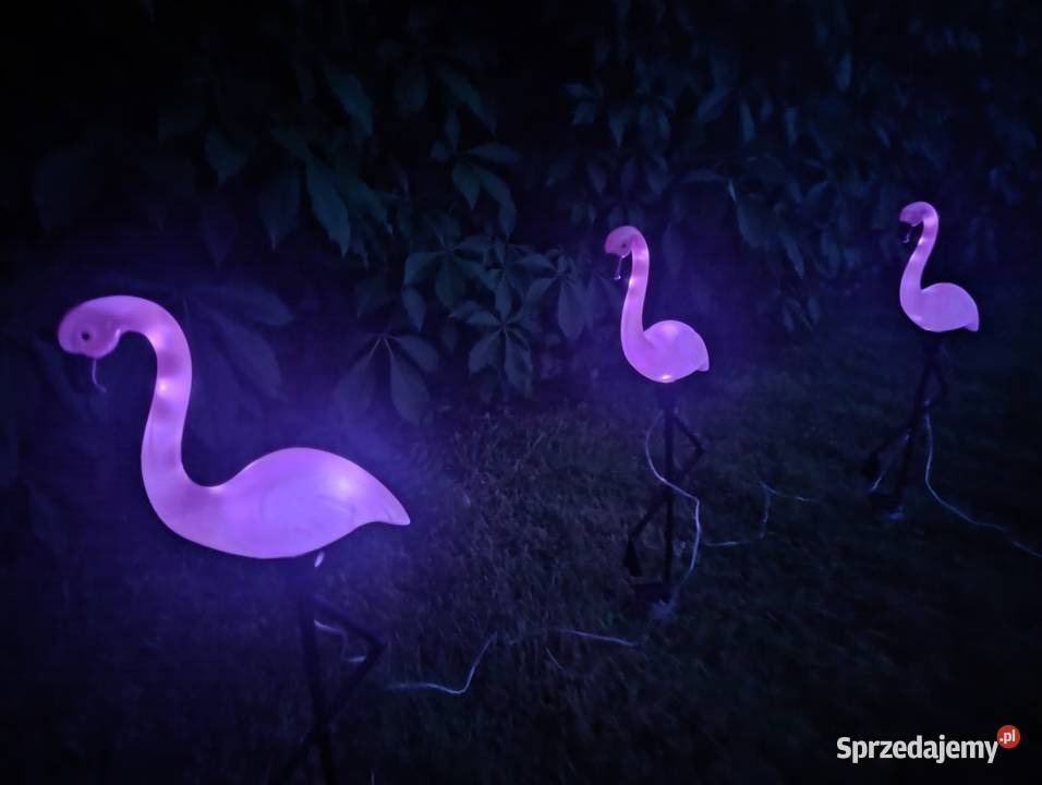 NOWY Zestaw 3xFlamingi solarny LED do ogrodu Blachownia