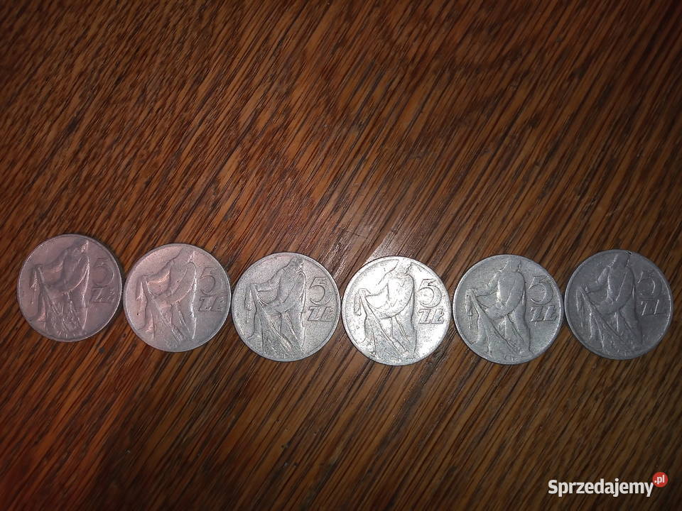 Pięć złotych rybak Leżajsk