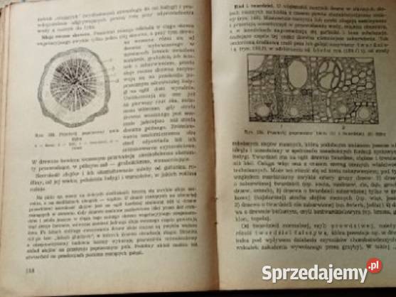 Botanika techników leśnych Obmiński 1959 Łódź