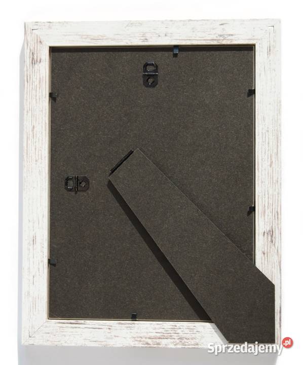 Blue Jay modrosójka błękitna ptak zima akwarela lubelskie sprzedam