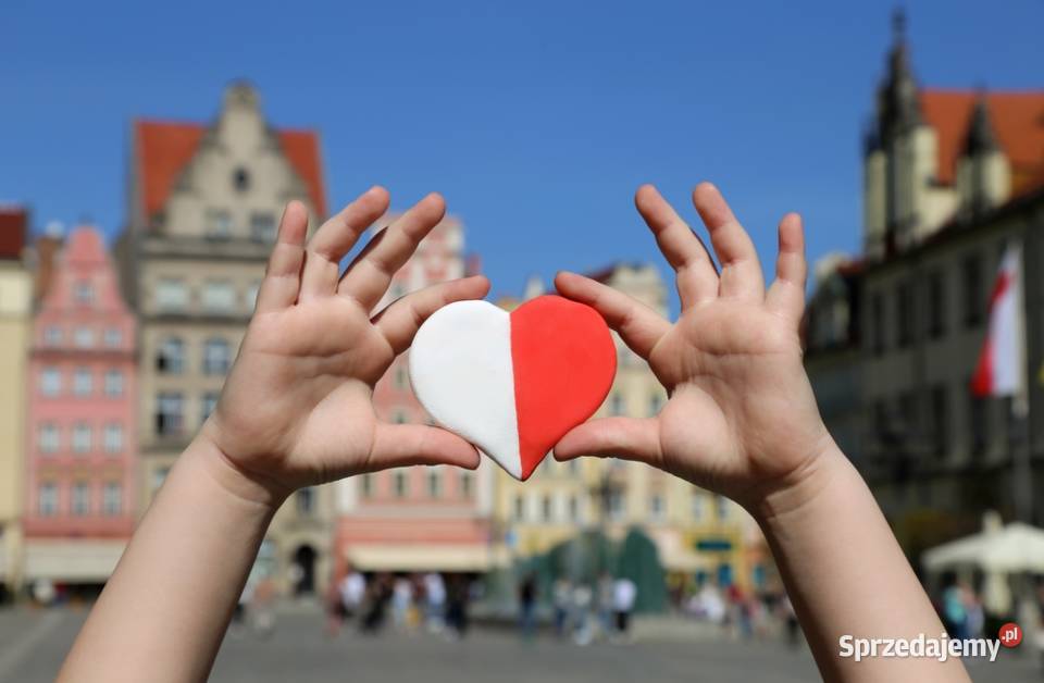 Intensywny kurs mówienia polsku Szczecin