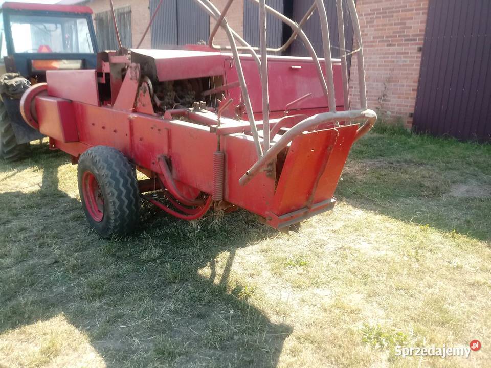 Sprzedam prase kostke do słomy i siana simpa 224 Kalisz