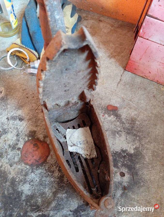 Zabytkowe żelazko Tłuszcz