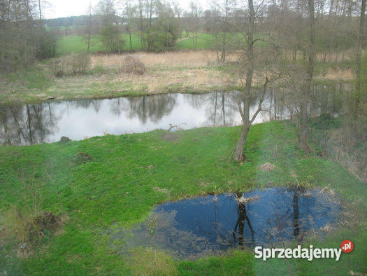 Do Dom rzeką blacha Domy Mława