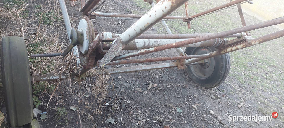Stertnik nieuszkodzony Izbiczno sprzedam