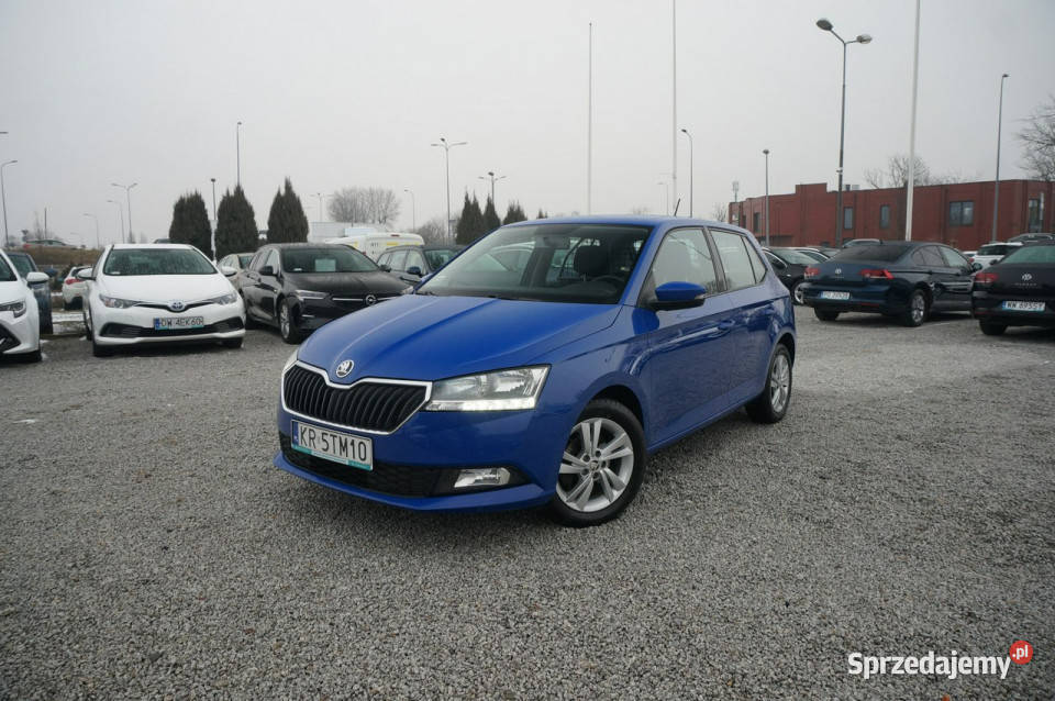 Skoda Fabia 10 TSI95 Ambition Fabia VAN Salon wielkopolskie Poznań sprzedam