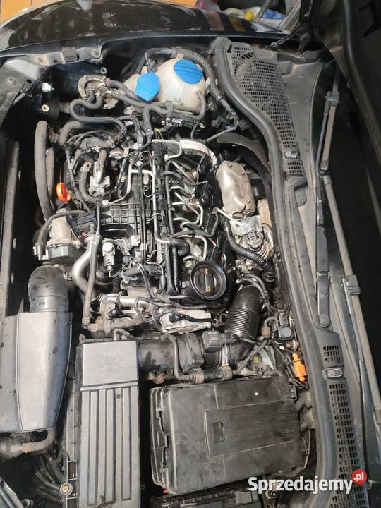 Skoda Octavia tempomat Goleniów