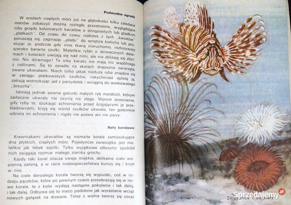 To i owo o zwierzętach Jadwiga Wernerowa Rok wydania 1989 Chełm