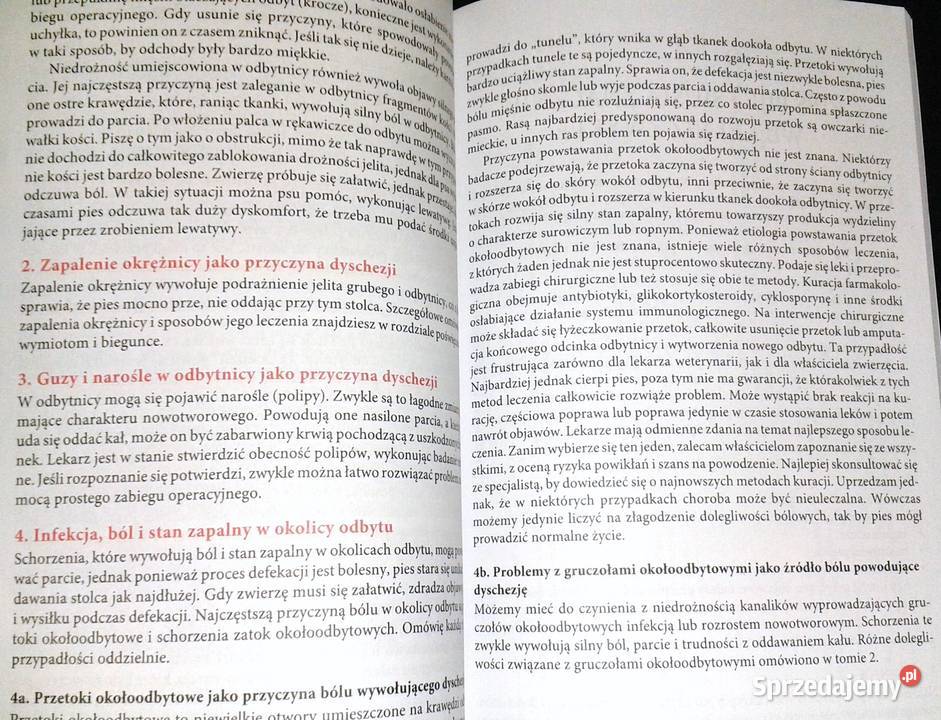 Gdy pies choruje Tom 12 Nico Maritz Chełm sprzedam