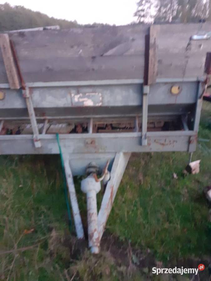 Rorzutnik obornika rosyjski podlaskie Kuźnica