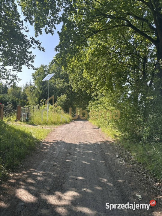 Działka z WZabudowy w Radzanku GmMaszewo utwardzona