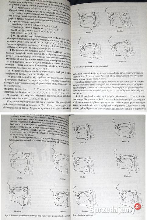 Podręczna gramatyka języka polskiego Michał Chełm sprzedam