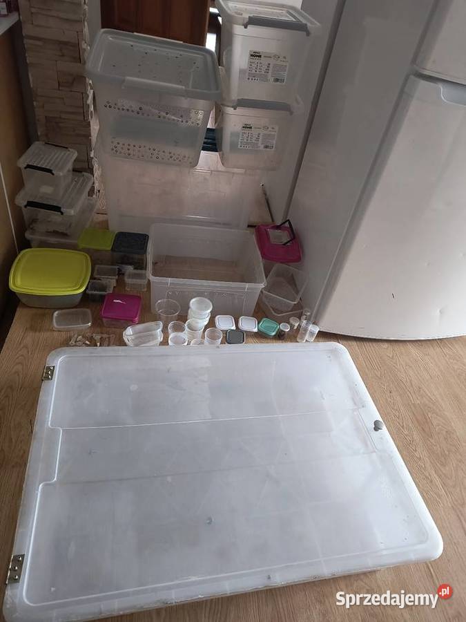 Pudełka boxy hodowlane pojemniki okazja Bielsko-Biała sprzedam