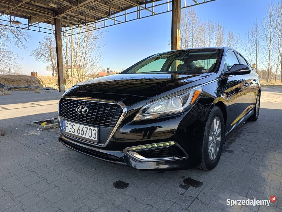 Hyundai Sonata 20 Hybryda Mały Przebieg Leszno