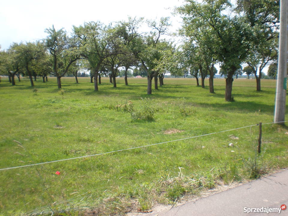 Działka przemysłowousługowa na sprzedaż asfalt