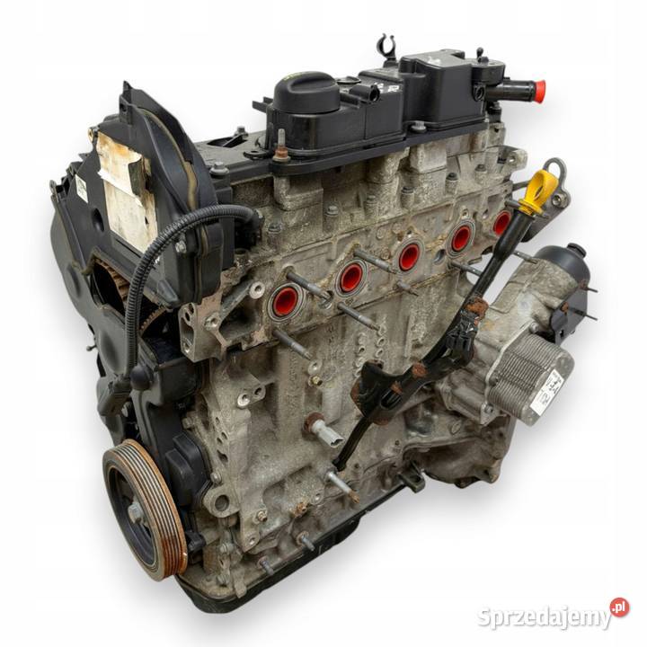 SILNIK T1DA Ford Focus III C C 16 TDCI 115 osobowe Chełm