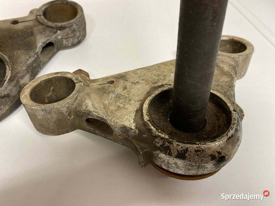 Półka dolna Pannonia Panonia dolnośląskie Bolesławiec