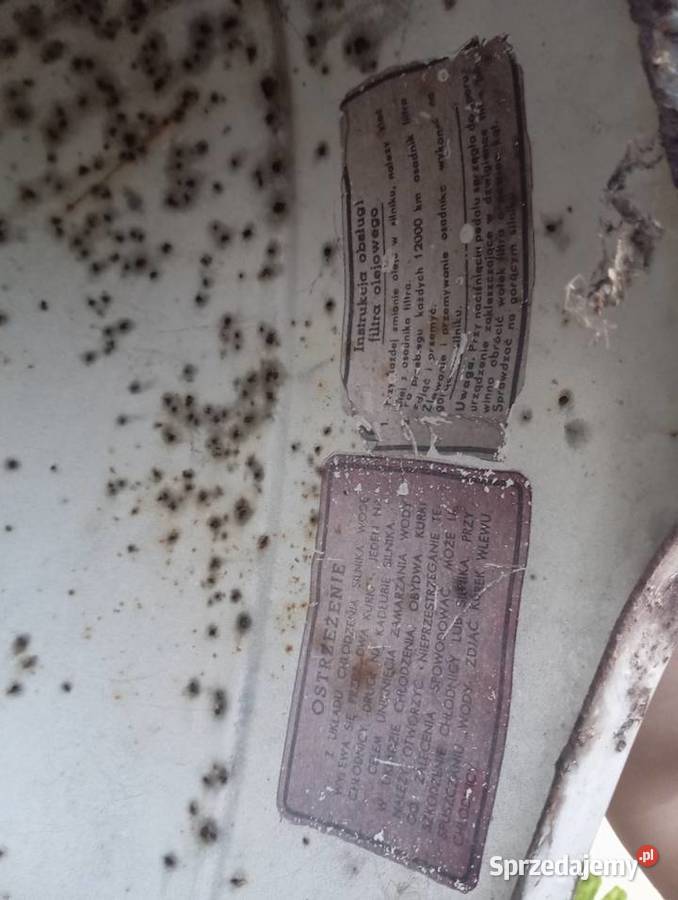 Maska do Warszawy Hanulin