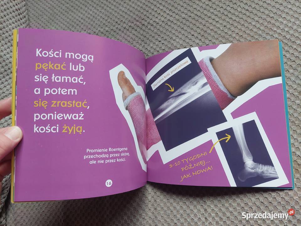 Twoje kości Becky Baines ISBN 9788375961034 Kraków