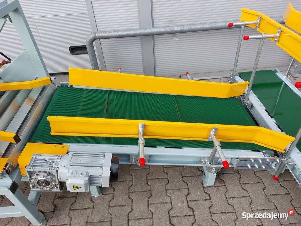 Paletyzator Paletyzer Zrobotyzowana paletyzacja lubuskie Gorzów Wielkopolski