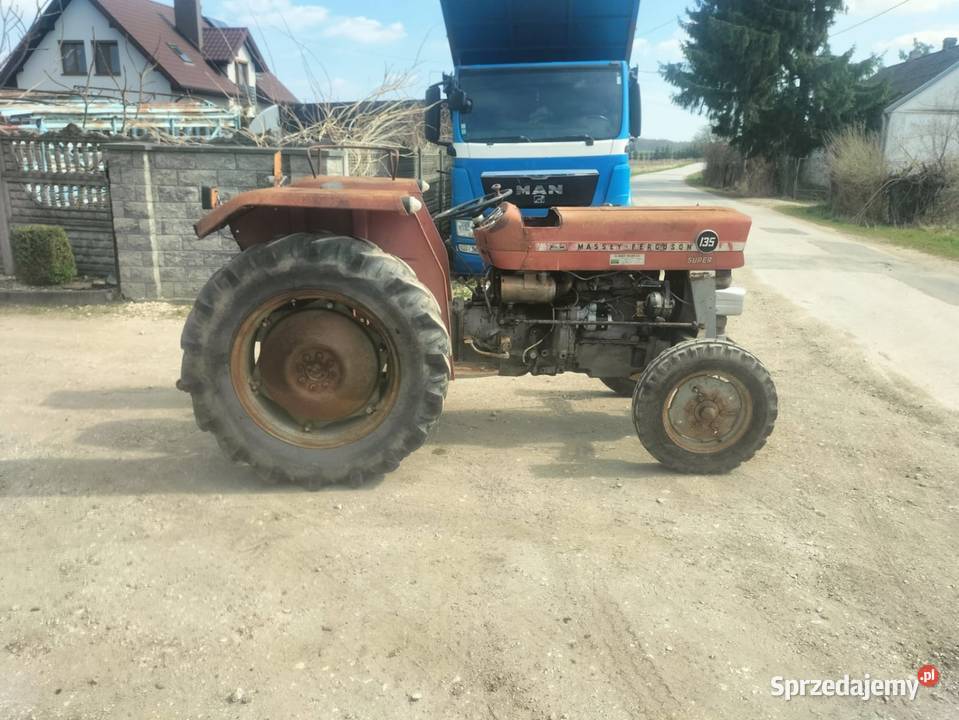 Massey Ferguson MF 135 Busko-Zdrój