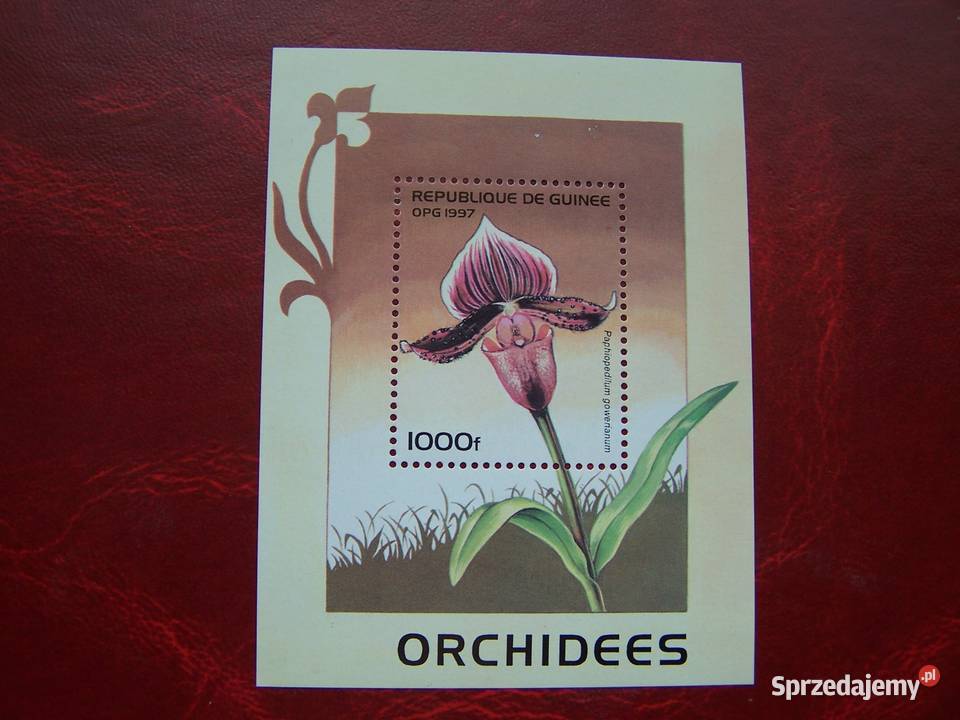 Gwinea 1997 MNH Flora Kwiaty Orchidea Tychy sprzedam