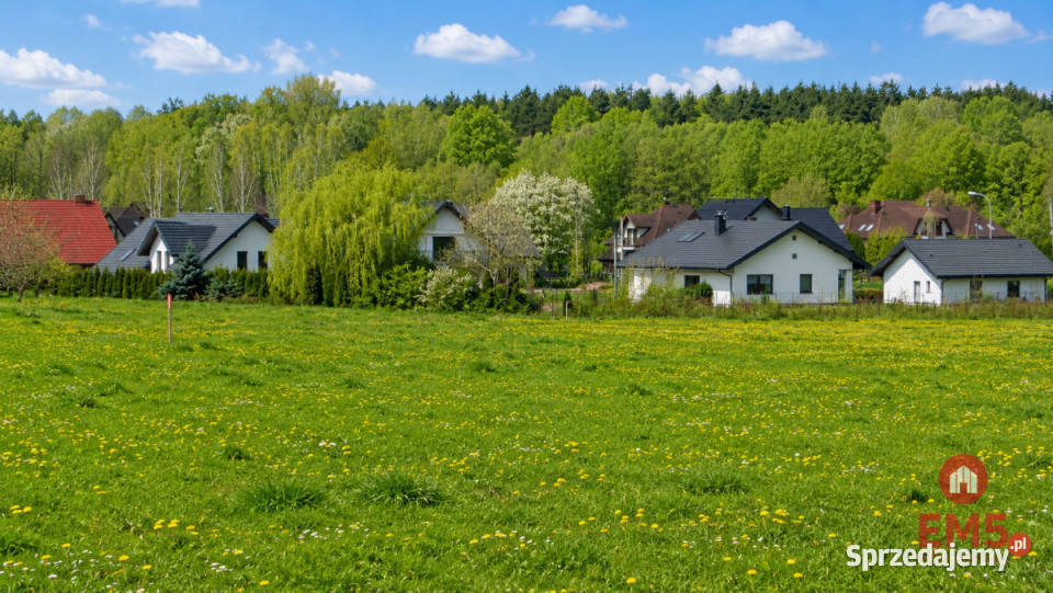 Działka 1000m2 Tołcze kanalizacja