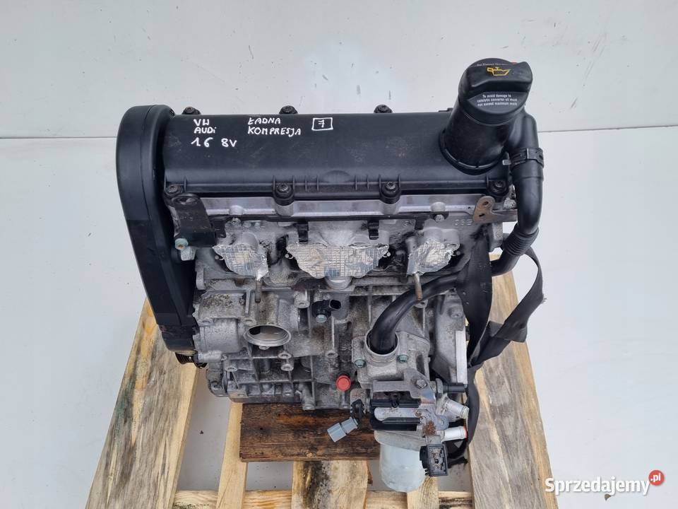 SILNIK VW Golf V VI 16 8V 102 ładna kompresja Janów