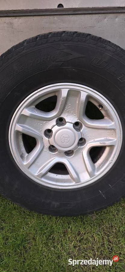 KA00 16 6x1397 Krasnystaw