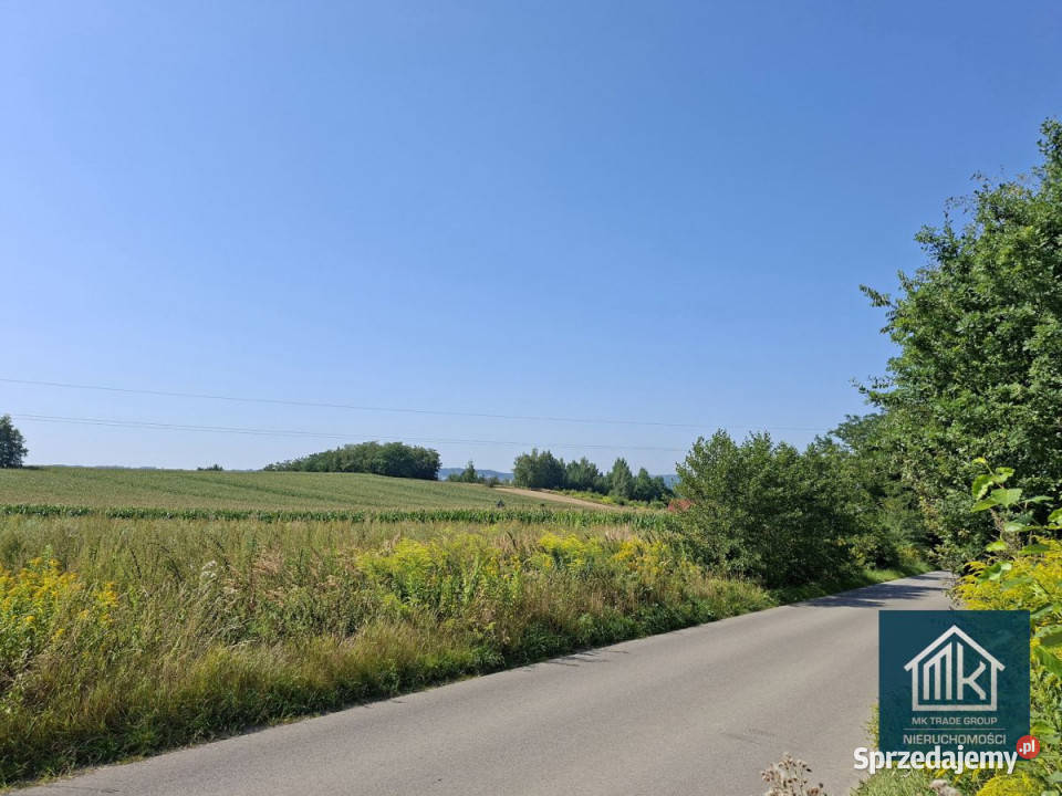 sprzedaży gruntu Bodzanów 8100m2 asfalt