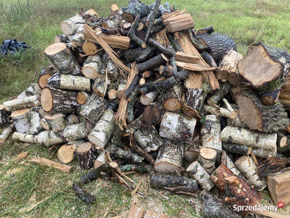 Sprzedam drewno kominkowe i opałowe Kołobrzeg