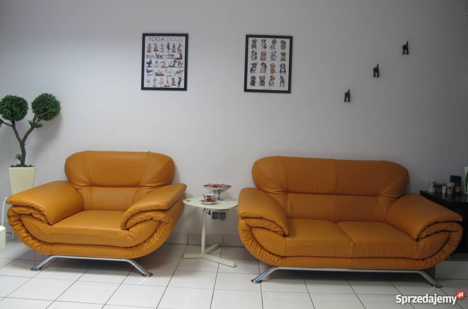 PSI FRYZJER ŁAPKA STRZYŻENIE PSÓW GROOMER NOWO Poznań