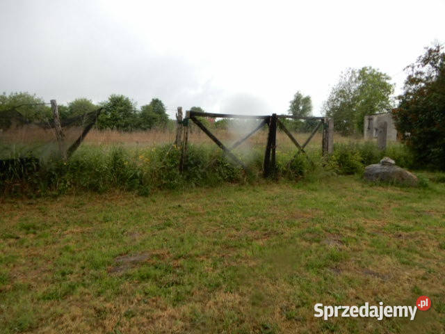 Syndyk sprzeda udział 18 Oborzany działki 240