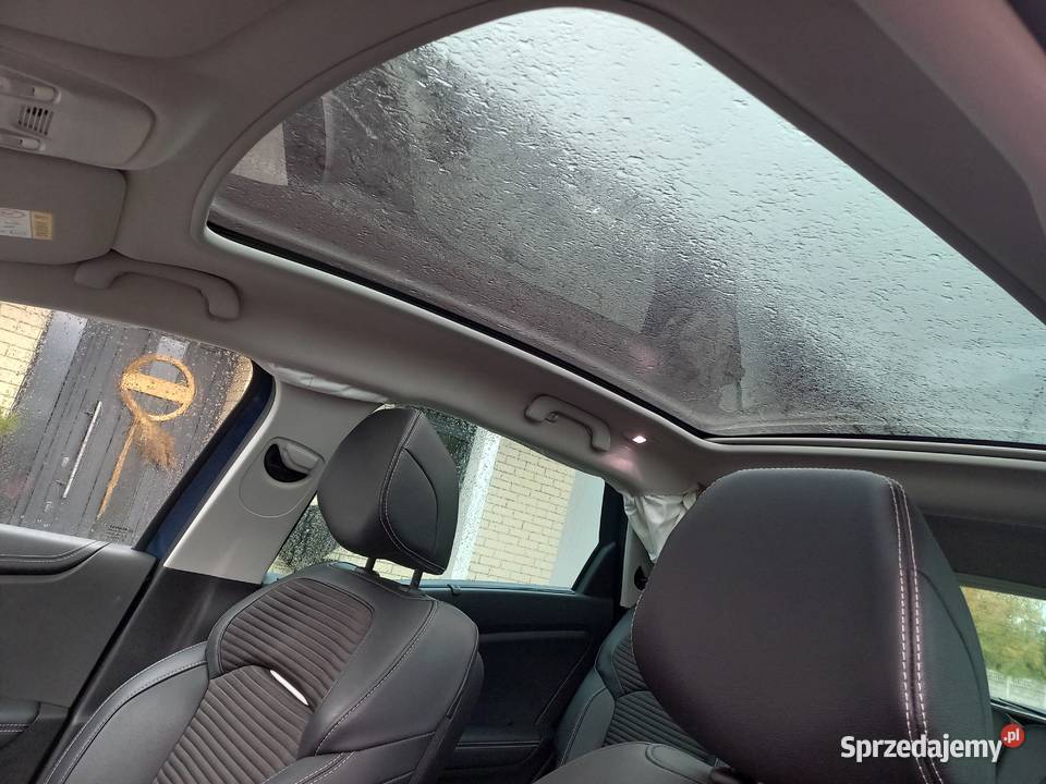 Renault Scenic wielkopolskie Odolanów