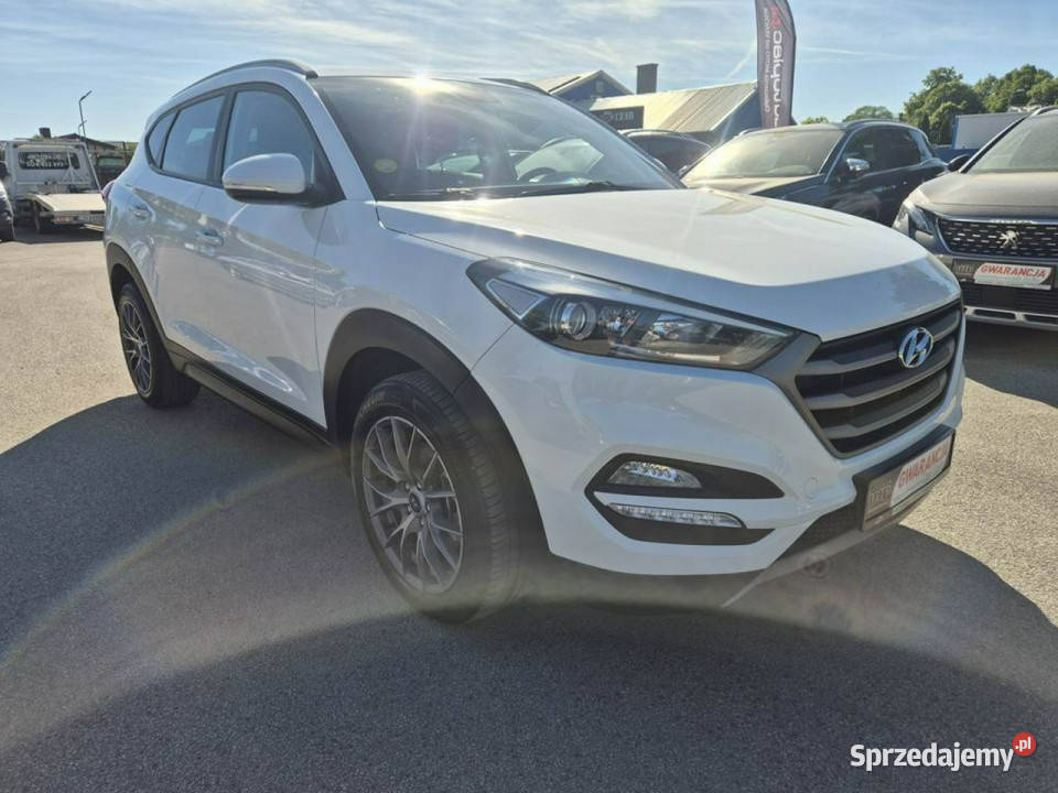 Hyundai Tucson III 17CRDI 115 Bezwypadkowy Ładny Gniewkowo sprzedam