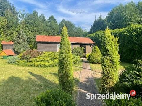Sprzedam działkę ROD mazowieckie sprzedam